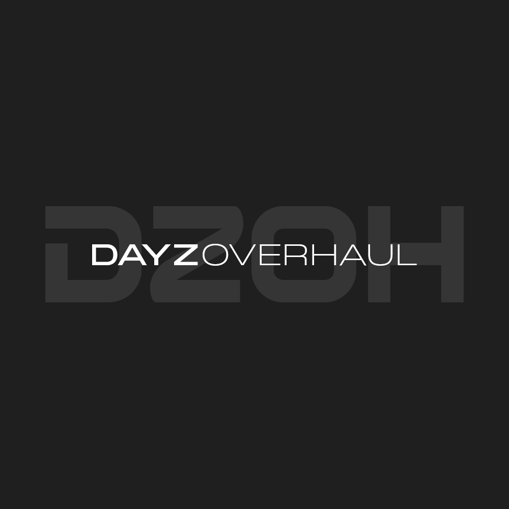 DayZOverhaul-Snippets